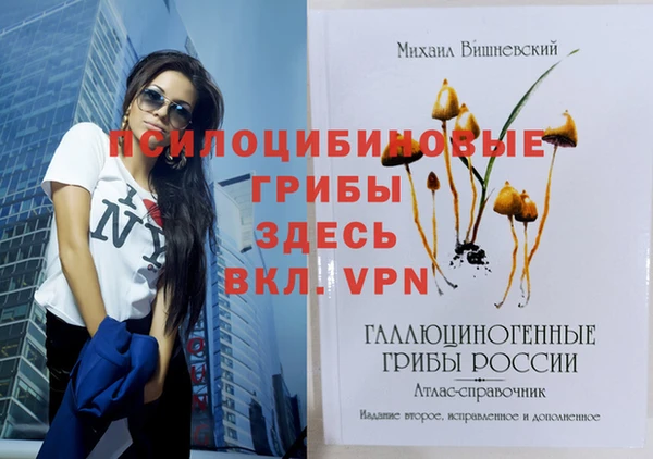 твердый Михайловка