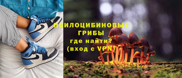 твердый Михайловка