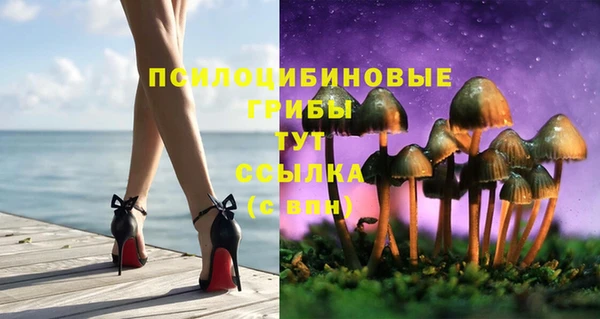 твердый Михайловка