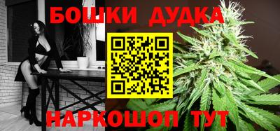прущие крисы Гатчина
