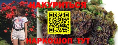 прущие крисы Гатчина