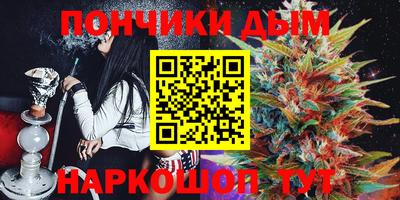 прущие крисы Гатчина