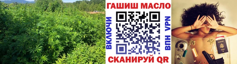 купить наркотики цена  Кострома  ТГК концентрат 