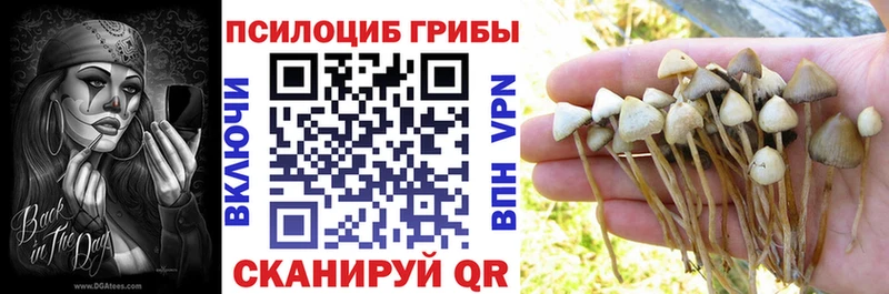 это как зайти Кострома Галлюциногенные грибы GOLDEN TEACHER