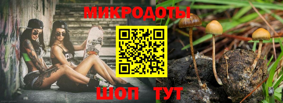 Конопля Кострома