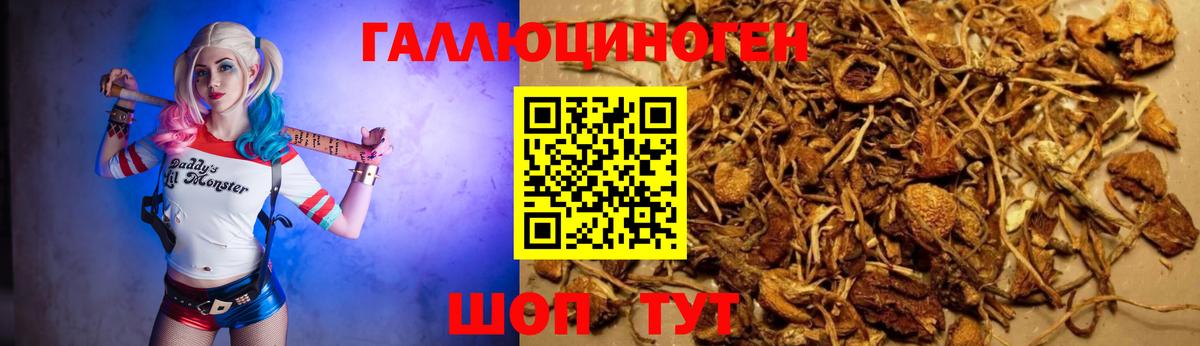 Галлюциногенные грибы ЛСД Кострома