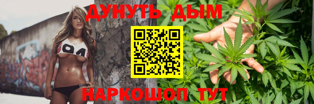 Конопля семена  Каннабис план  Вход с VPN  Кострома  Канабис сатива 